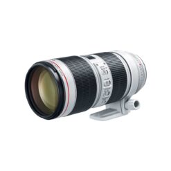 Canon EF 70-200mm f/2.8L IS III USM Lens