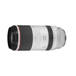 Canon RF 100-500mm f/4.5-7.1L IS USM Lens