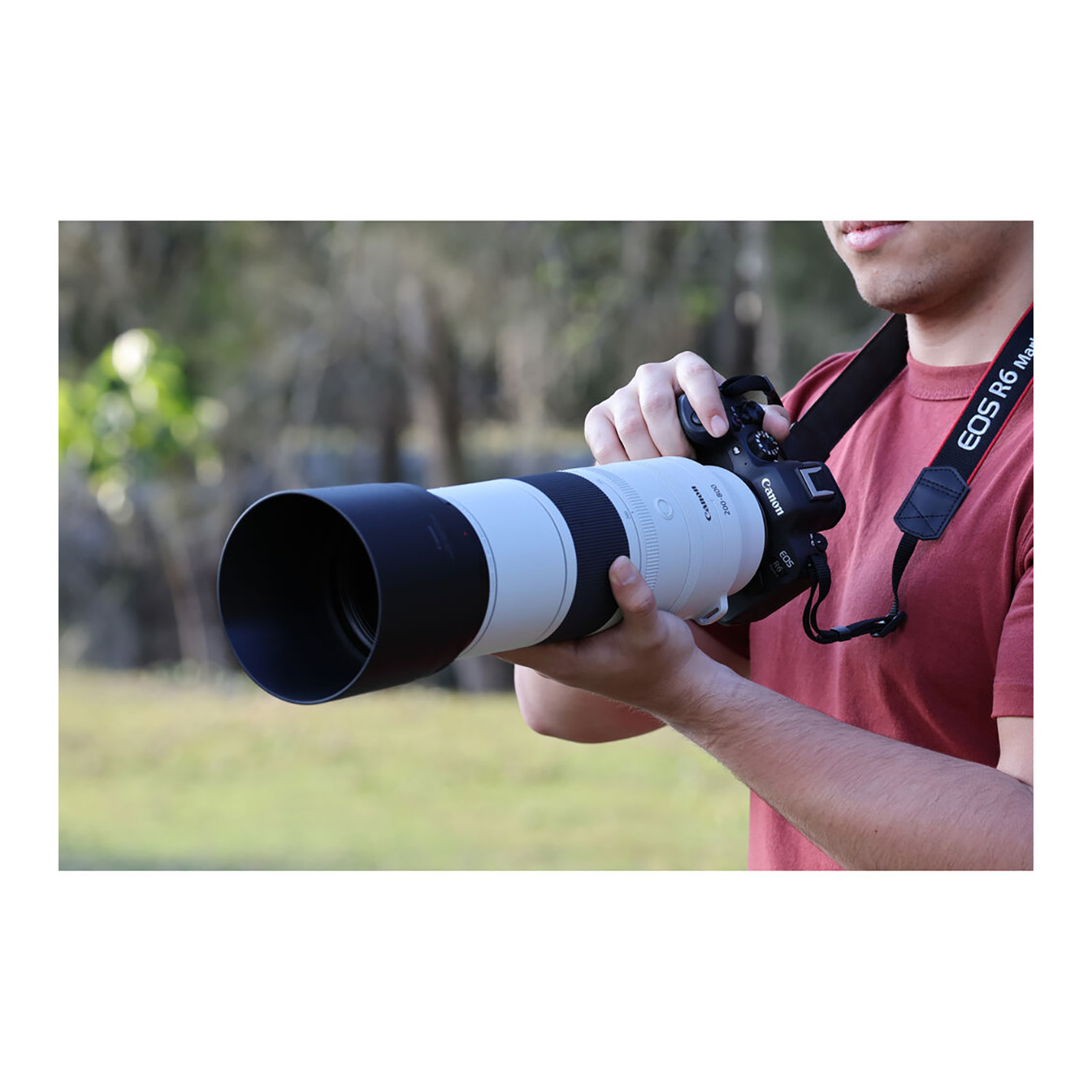 Canon RF 200-800mm f/6.3-9 IS USM Lens (Canon RF) - Image 10