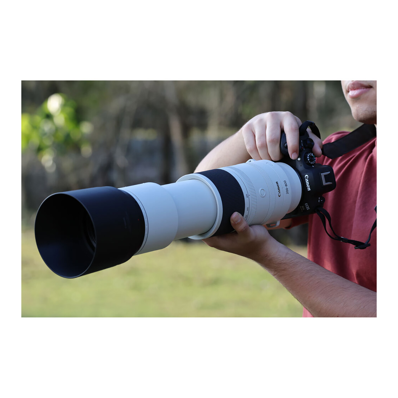 Canon RF 200-800mm f/6.3-9 IS USM Lens (Canon RF) - Image 11