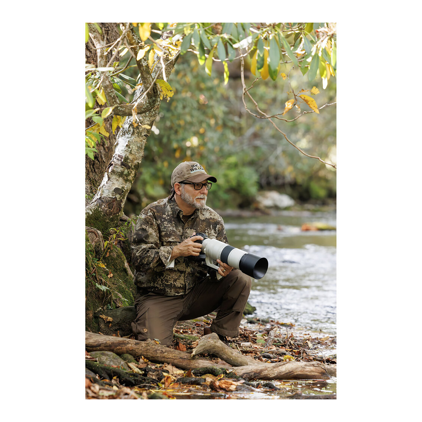 Canon RF 200-800mm f/6.3-9 IS USM Lens (Canon RF) - Image 15