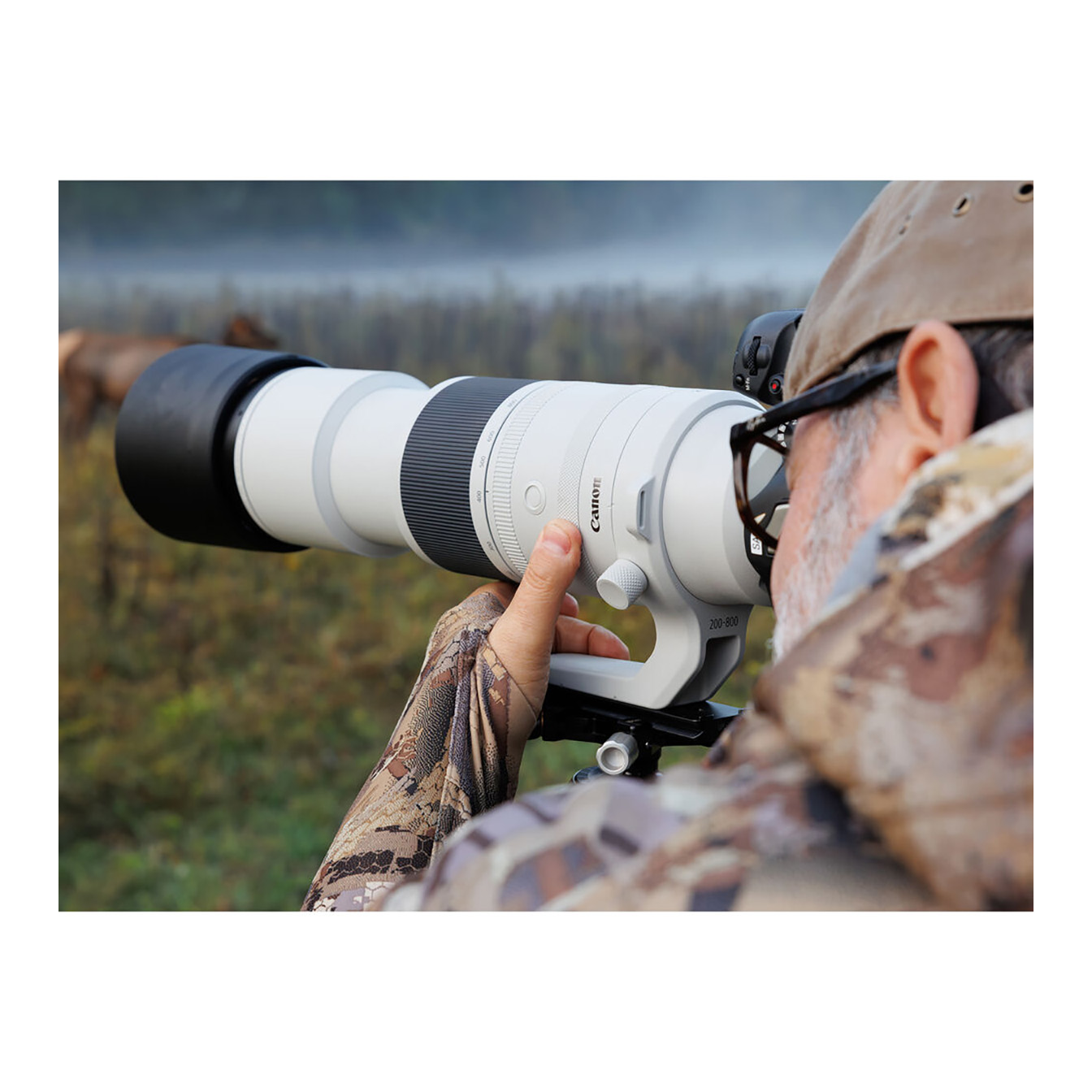 Canon RF 200-800mm f/6.3-9 IS USM Lens (Canon RF) - Image 16