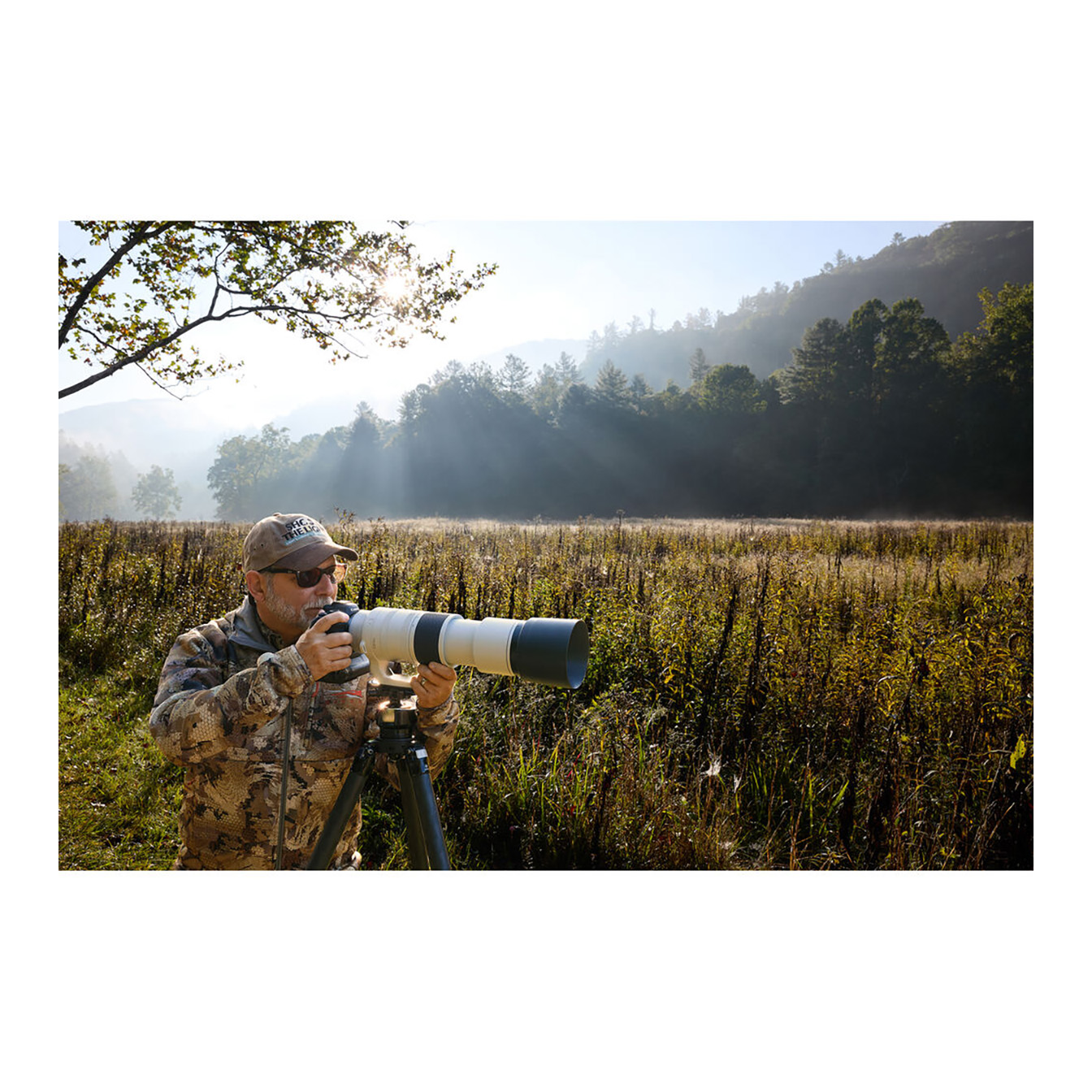 Canon RF 200-800mm f/6.3-9 IS USM Lens (Canon RF) - Image 17