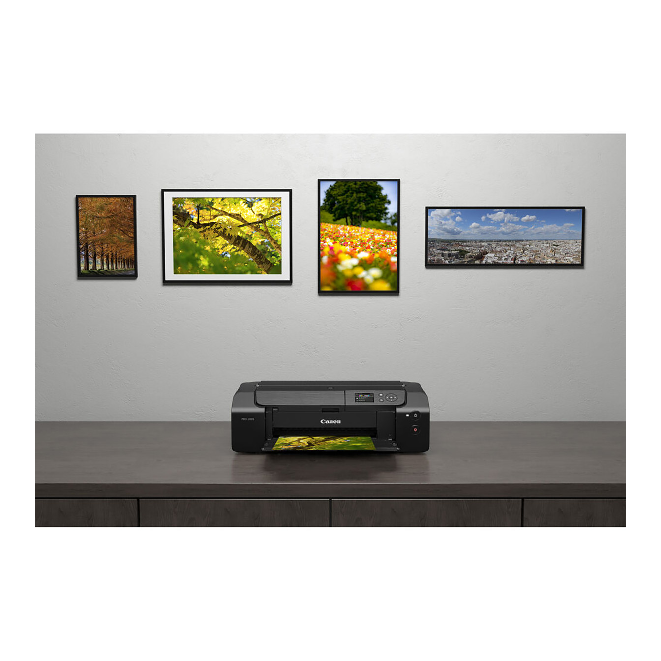 Canon PIXMA PRO-200S 13" Wireless Inkjet Photo Printer - Image 16