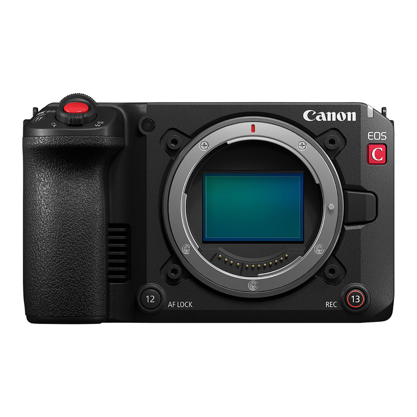 Canon EOS C50 Full-Frame Cinema Camera (Canon RF) - Image 2