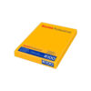 Kodak Professional Ektachrome E100 Color Transparency Film (4 x 5", 10 Sheets)