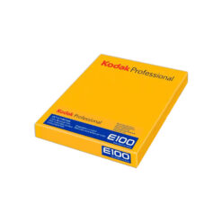 Kodak Professional Ektachrome E100 Color Transparency Film (4 x 5", 10 Sheets)