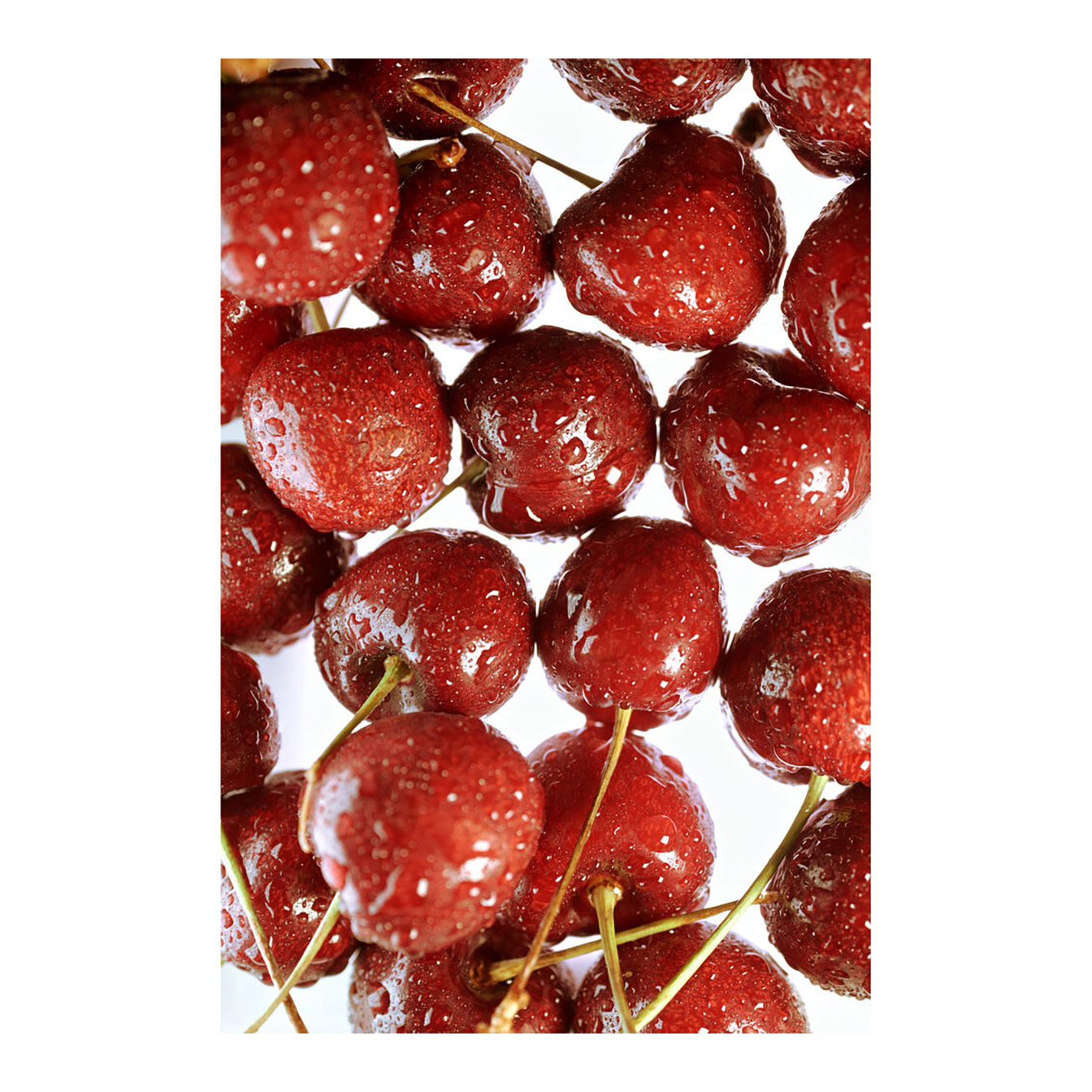 Nikon Z50 II Mirrorless Camera with 16-50mm Lens - Image 38