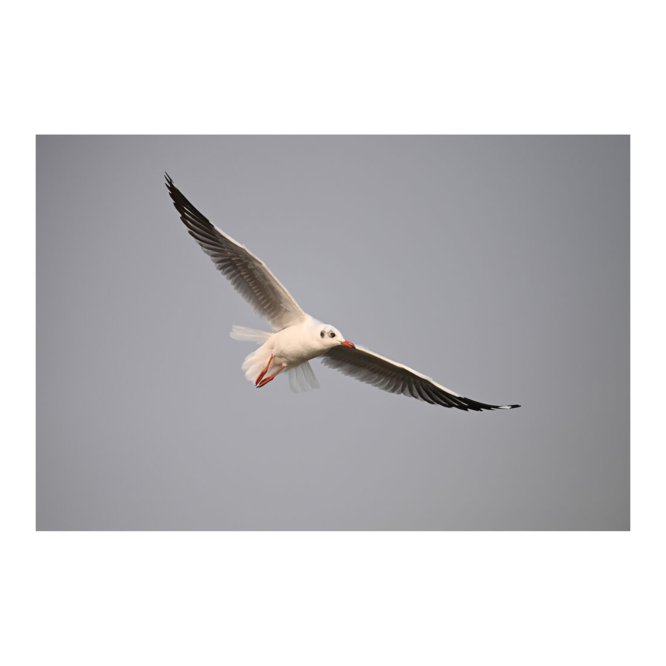 Nikon Z6 III Mirrorless Camera - Image 23