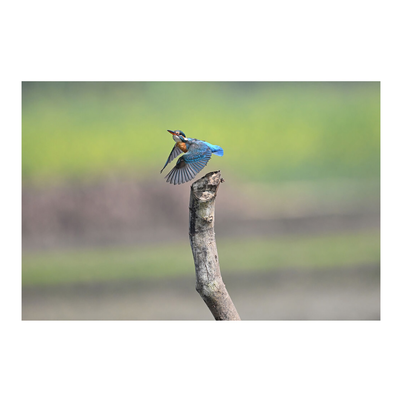 Nikon Z6 III Mirrorless Camera - Image 27