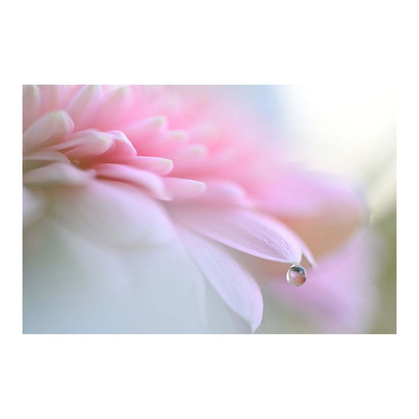 Nikon Z6 III Mirrorless Camera - Image 29