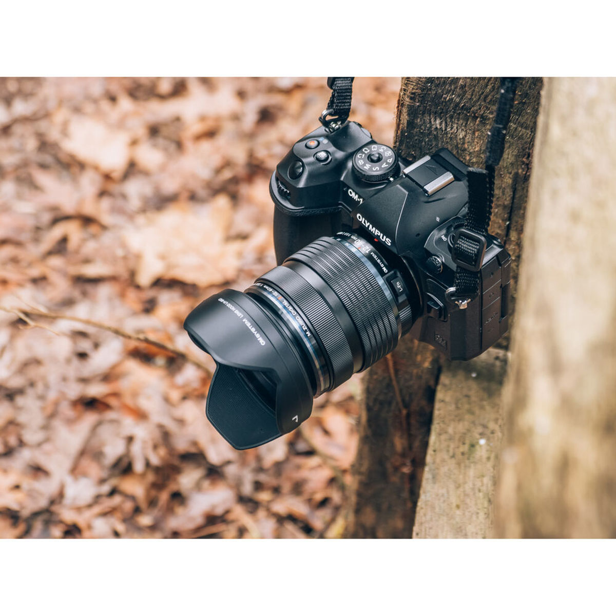 OM SYSTEM M.Zuiko Digital ED 12-40mm f/2.8 PRO II Lens - Image 11