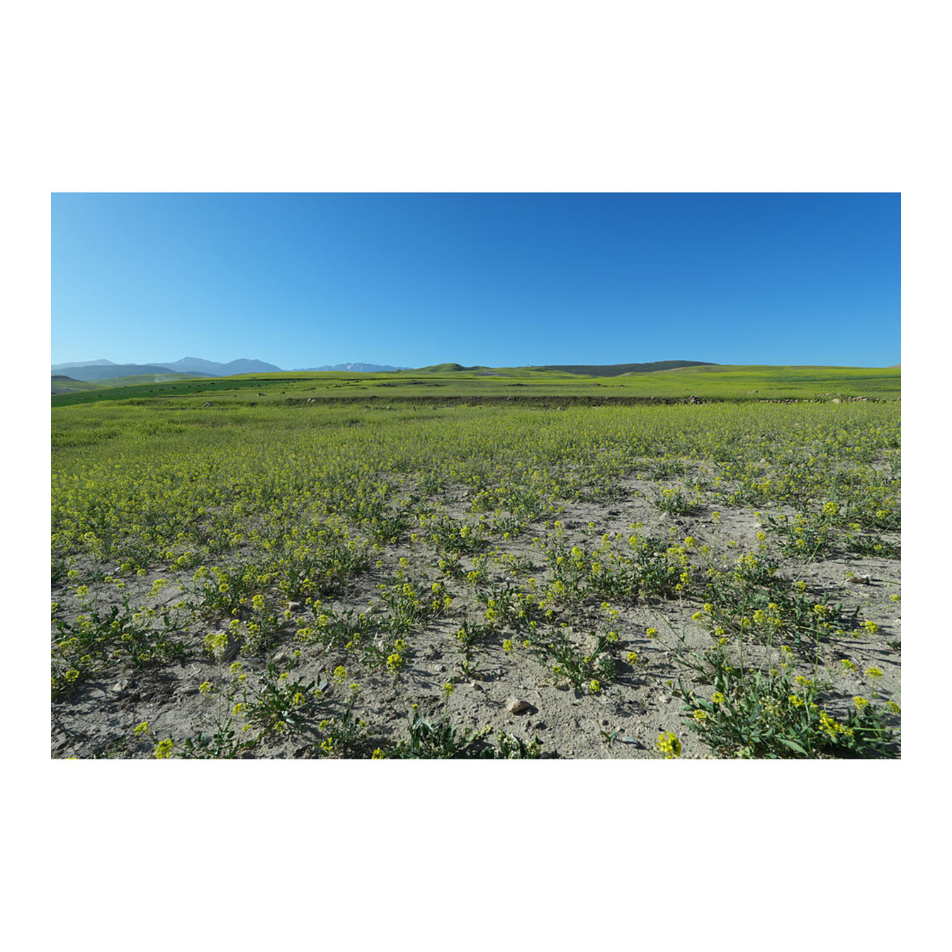 Sony ZV-E10 II Mirrorless Camera with 16-50mm Lens (Black) - Image 32