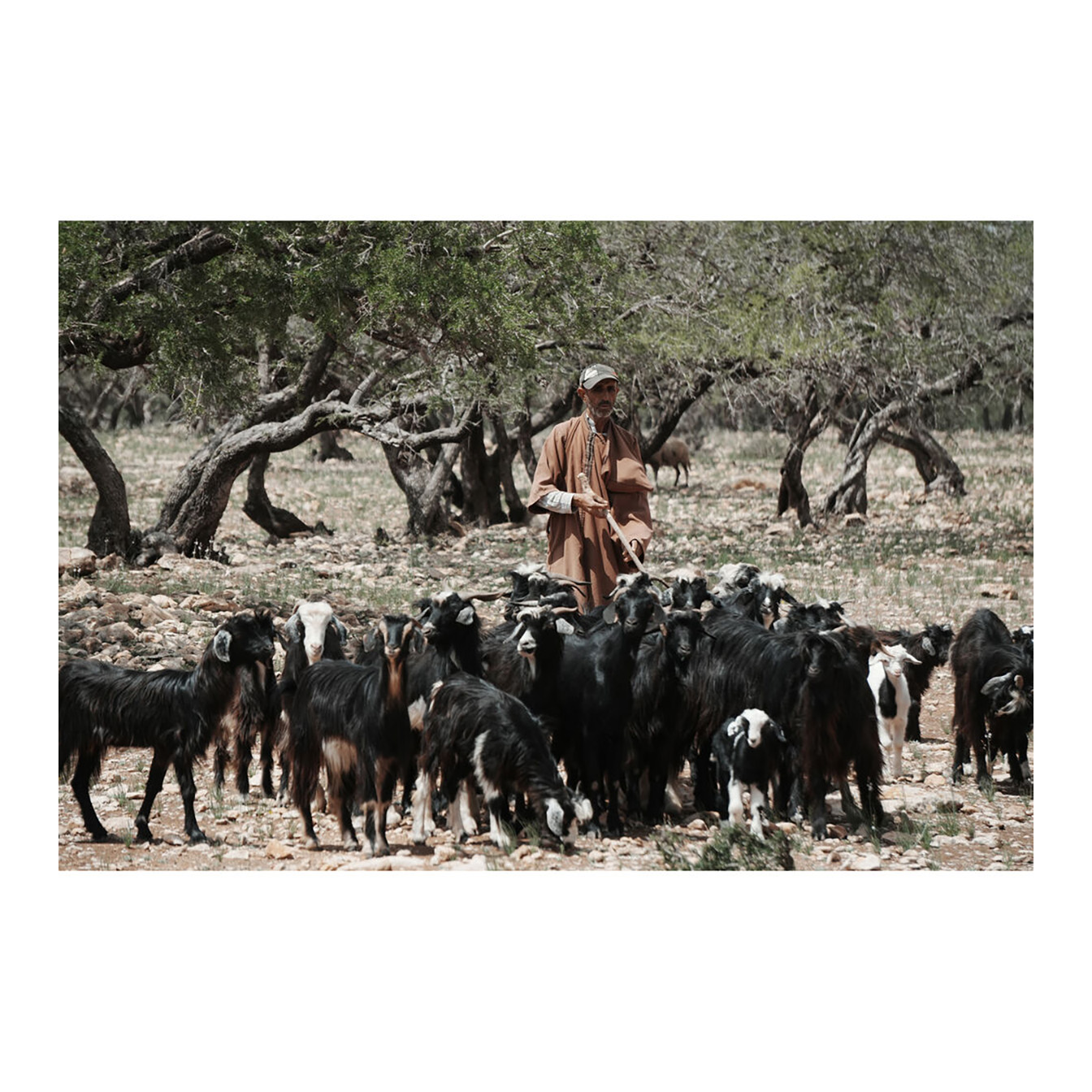 Sony ZV-E10 II Mirrorless Camera with 16-50mm Lens (Black) - Image 33