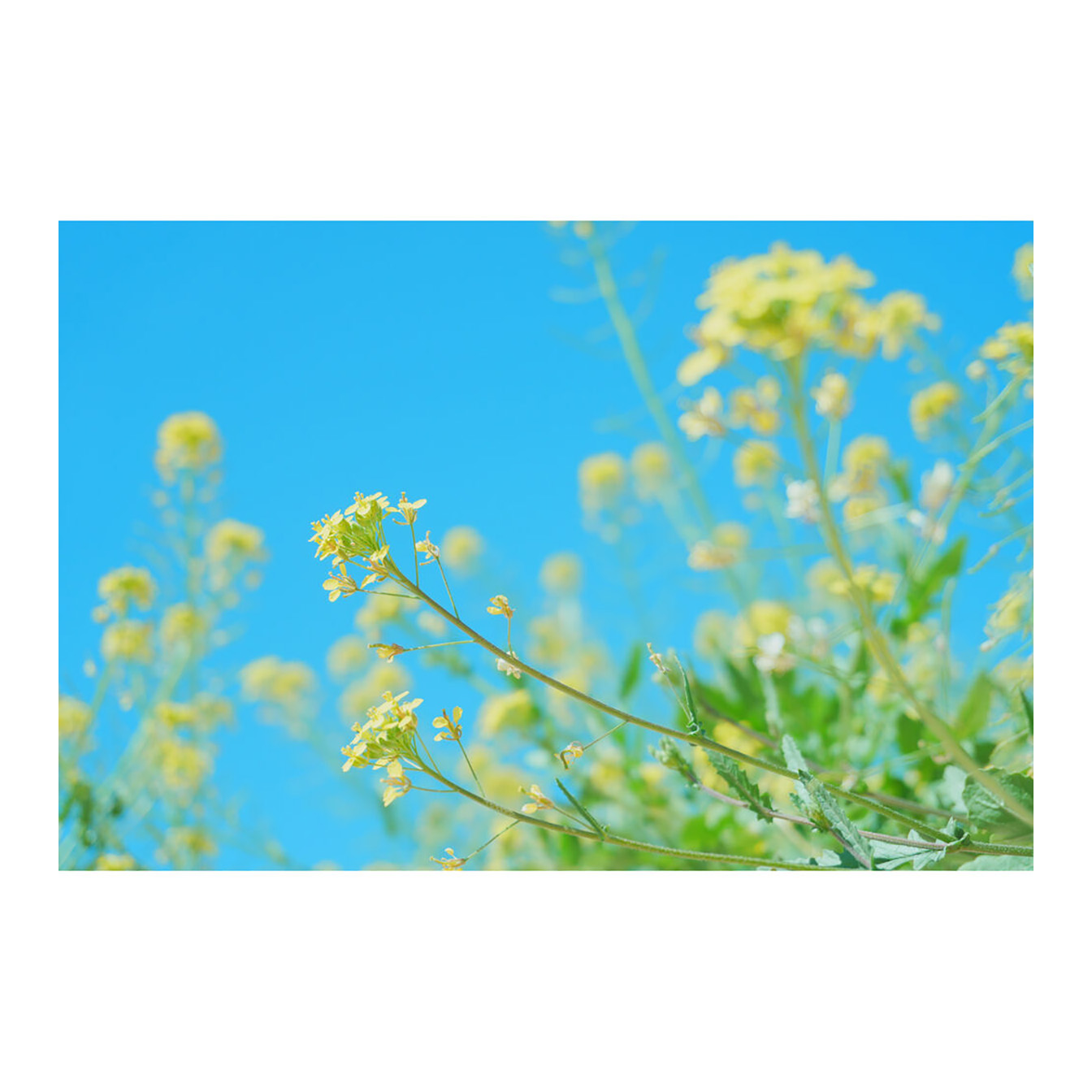 Sony ZV-E10 II Mirrorless Camera with 16-50mm Lens (Black) - Image 35