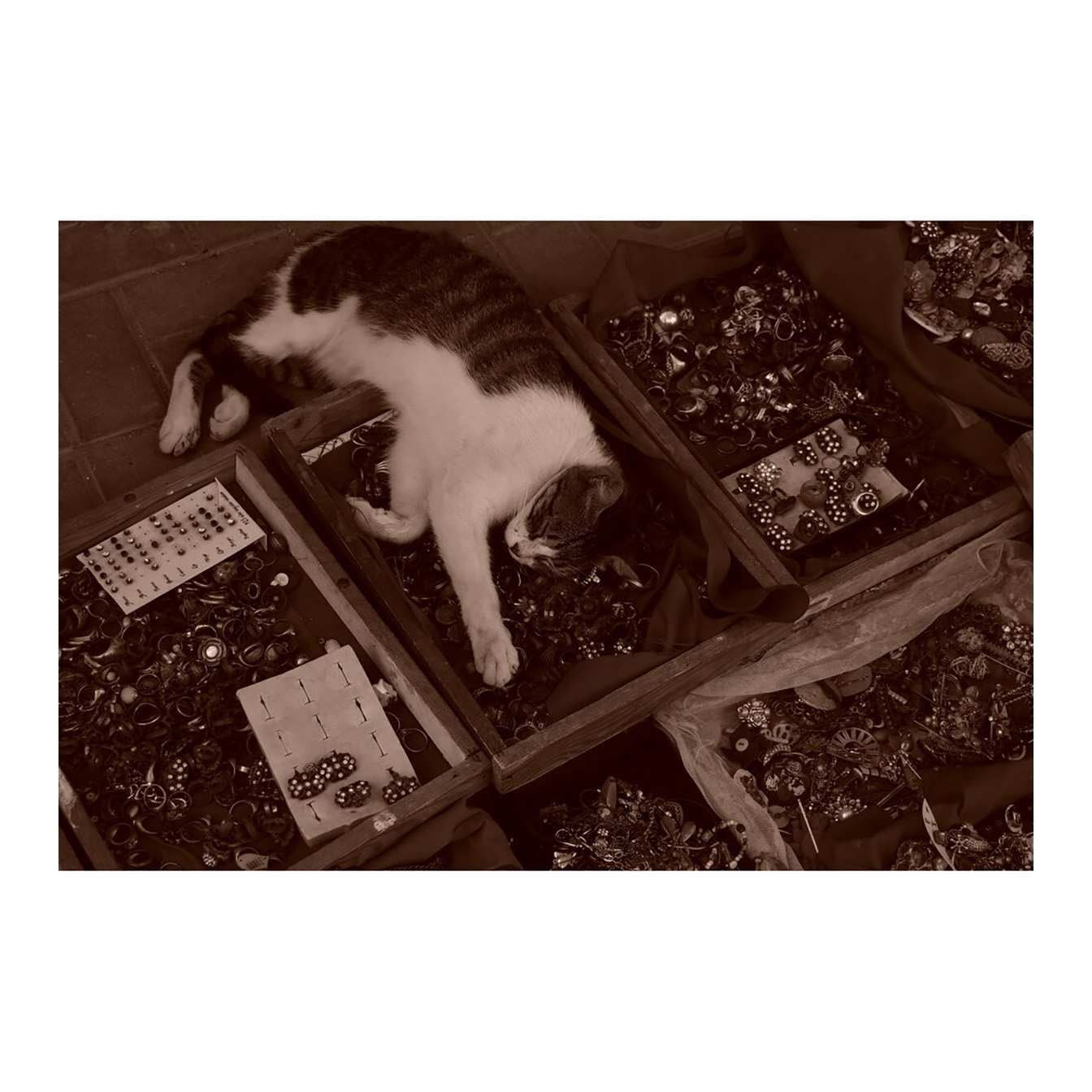 Sony ZV-E10 II Mirrorless Camera with 16-50mm Lens (Black) - Image 36