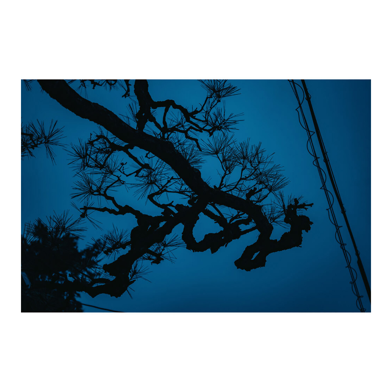 Sigma 17-40mm f/1.8 DC Art Lens (L-Mount) - Image 14