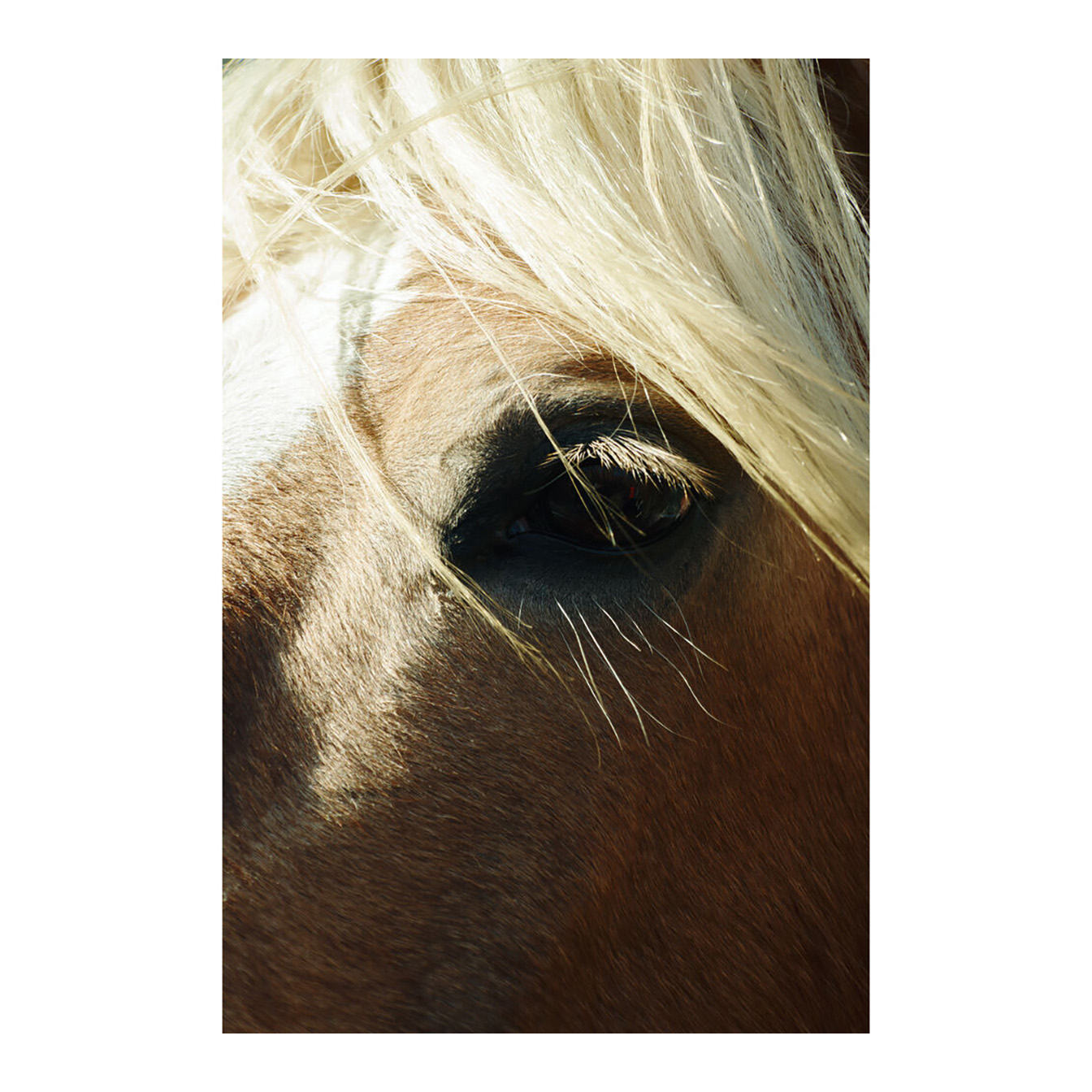 Sigma 16-300mm f/3.5-6.7 DC OS Contemporary Lens (Sony E) - Image 17