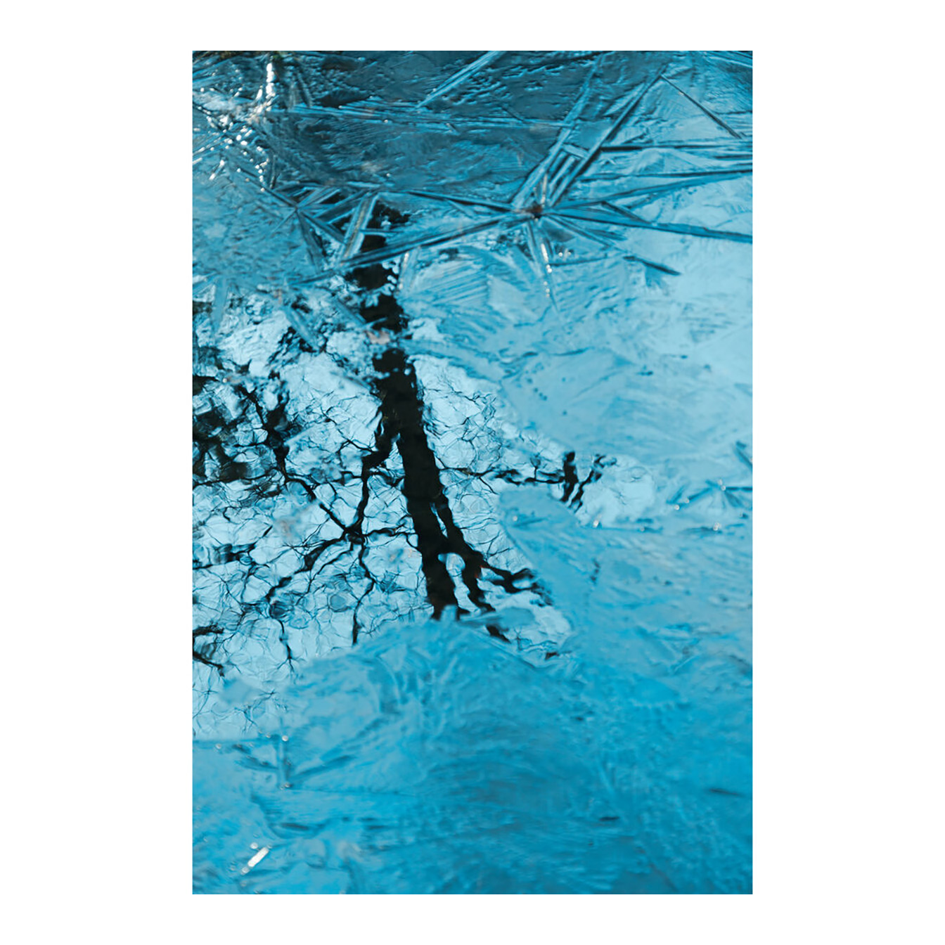 Sigma 16-300mm f/3.5-6.7 DC OS Contemporary Lens (Sony E) - Image 21