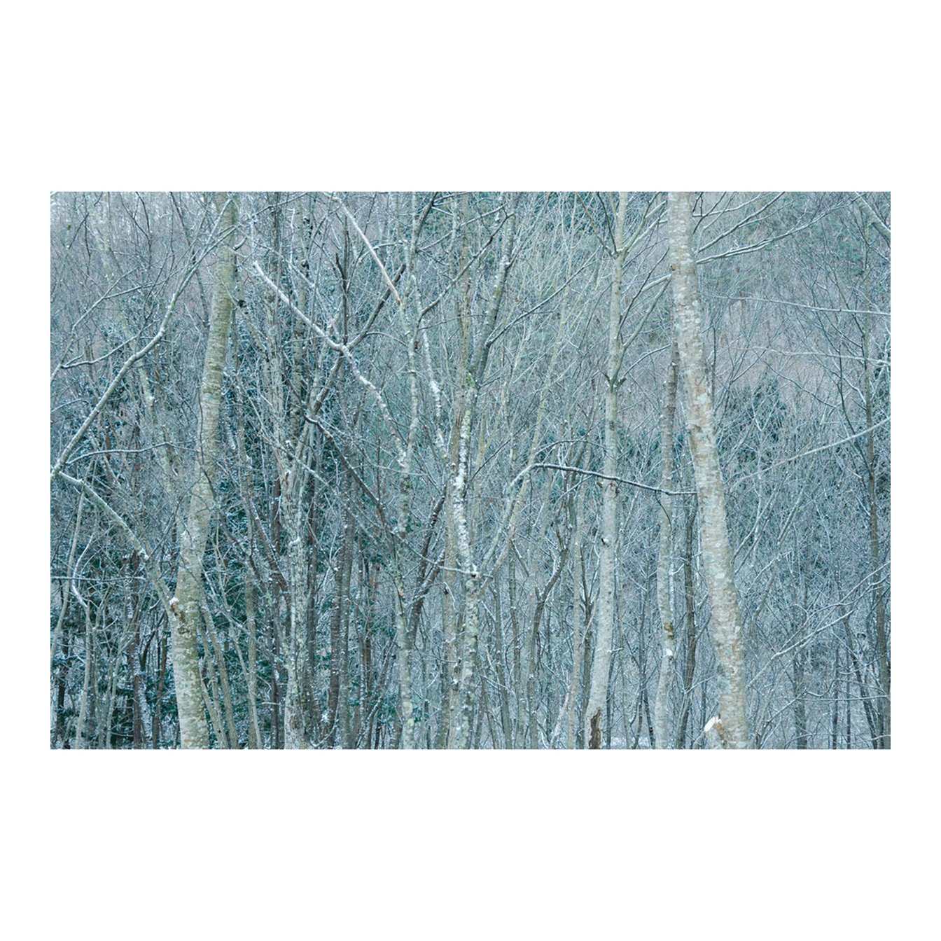 Sigma 16-300mm f/3.5-6.7 DC OS Contemporary Lens (Sony E) - Image 26