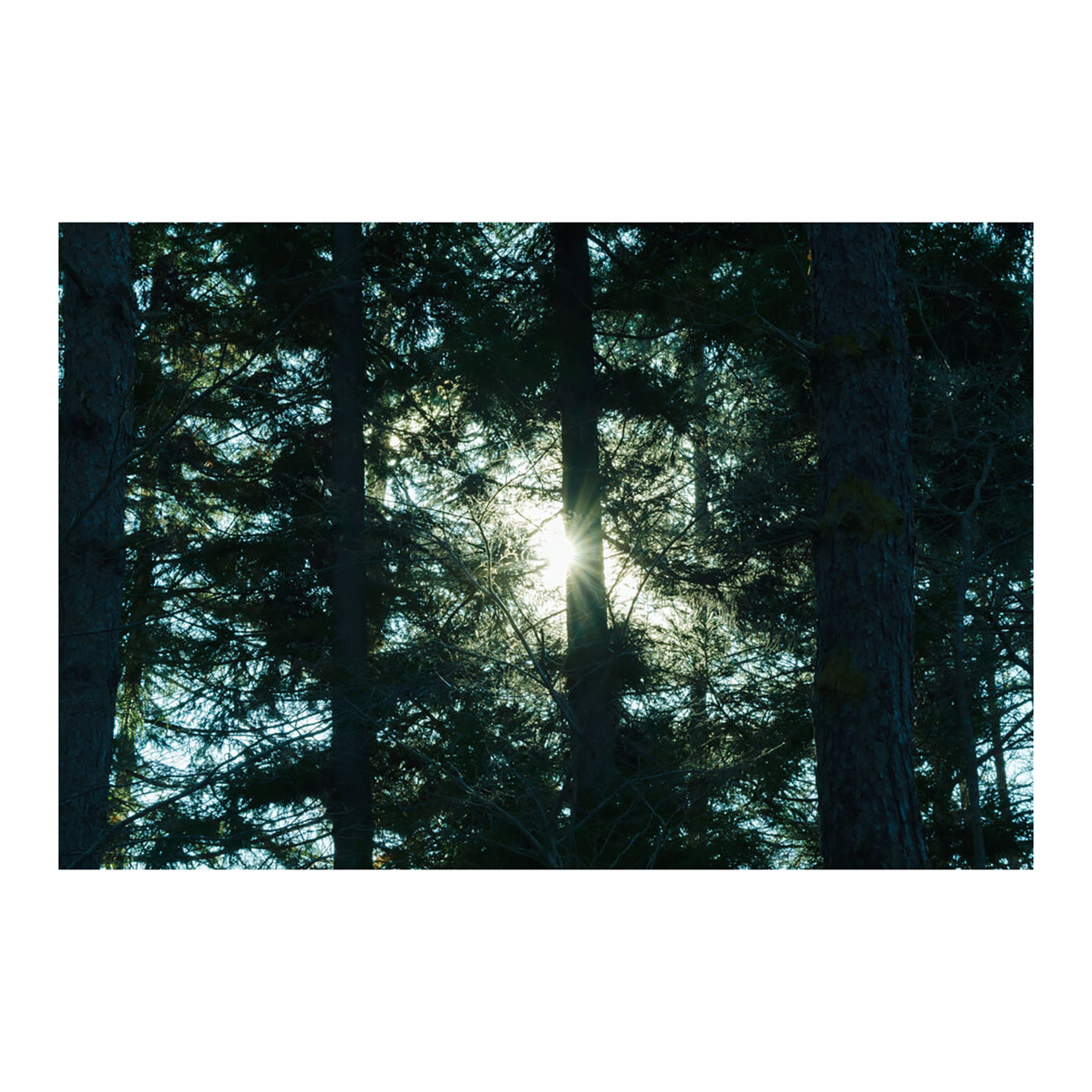 Sigma 16-300mm f/3.5-6.7 DC OS Contemporary Lens (FUJIFILM X) - Image 19