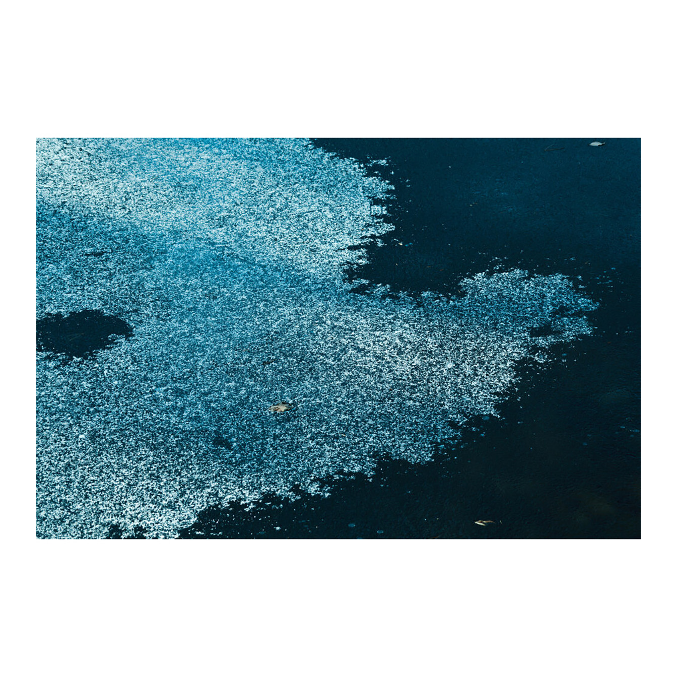 Sigma 16-300mm f/3.5-6.7 DC OS Contemporary Lens (FUJIFILM X) - Image 20