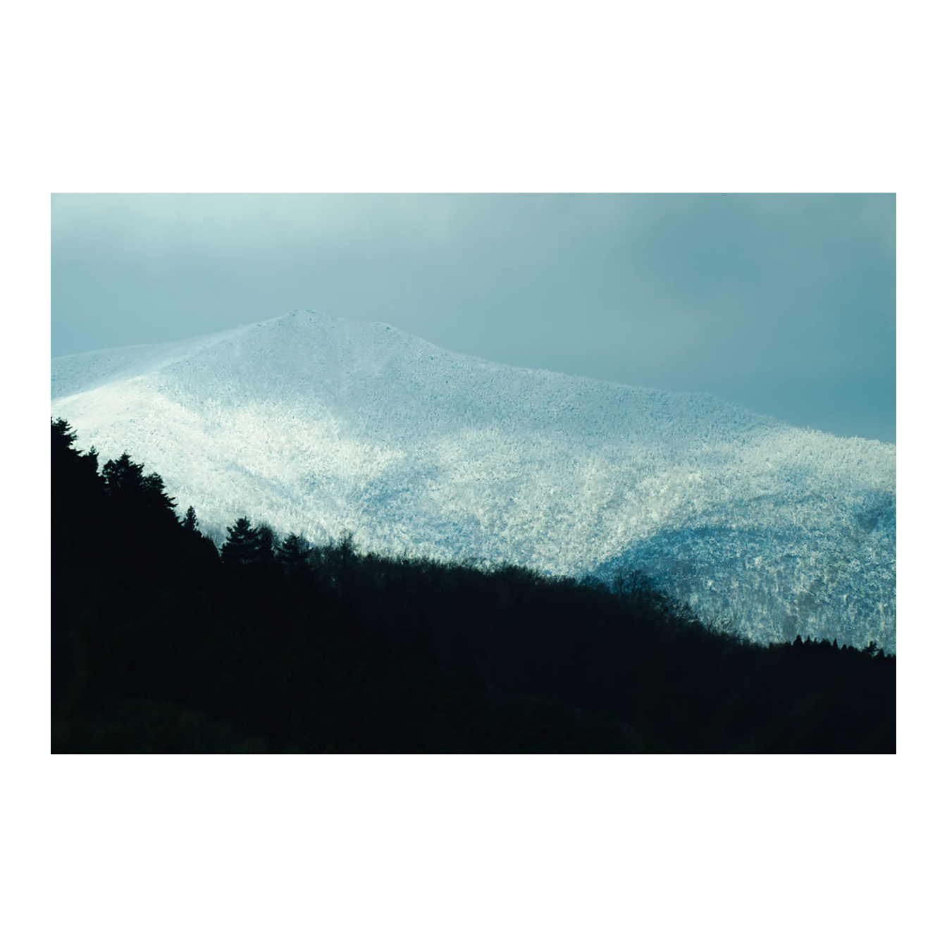 Sigma 16-300mm f/3.5-6.7 DC OS Contemporary Lens (FUJIFILM X) - Image 22