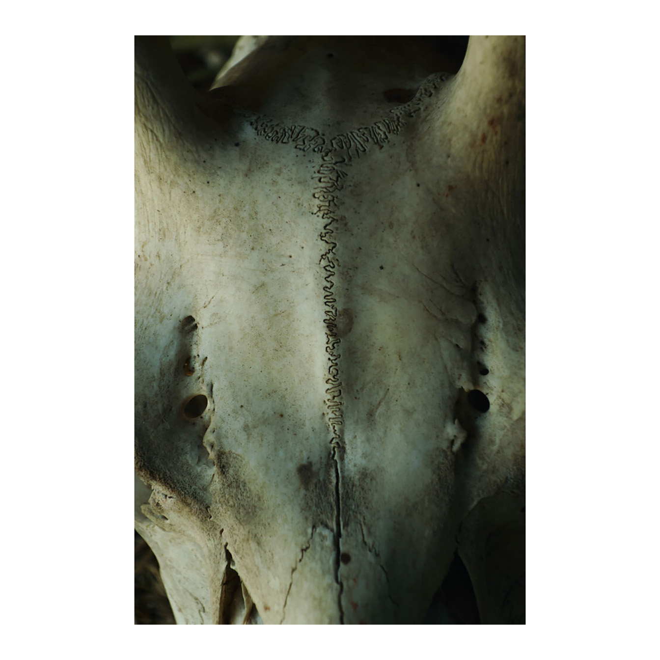 Sigma 16-300mm f/3.5-6.7 DC OS Contemporary Lens (FUJIFILM X) - Image 23