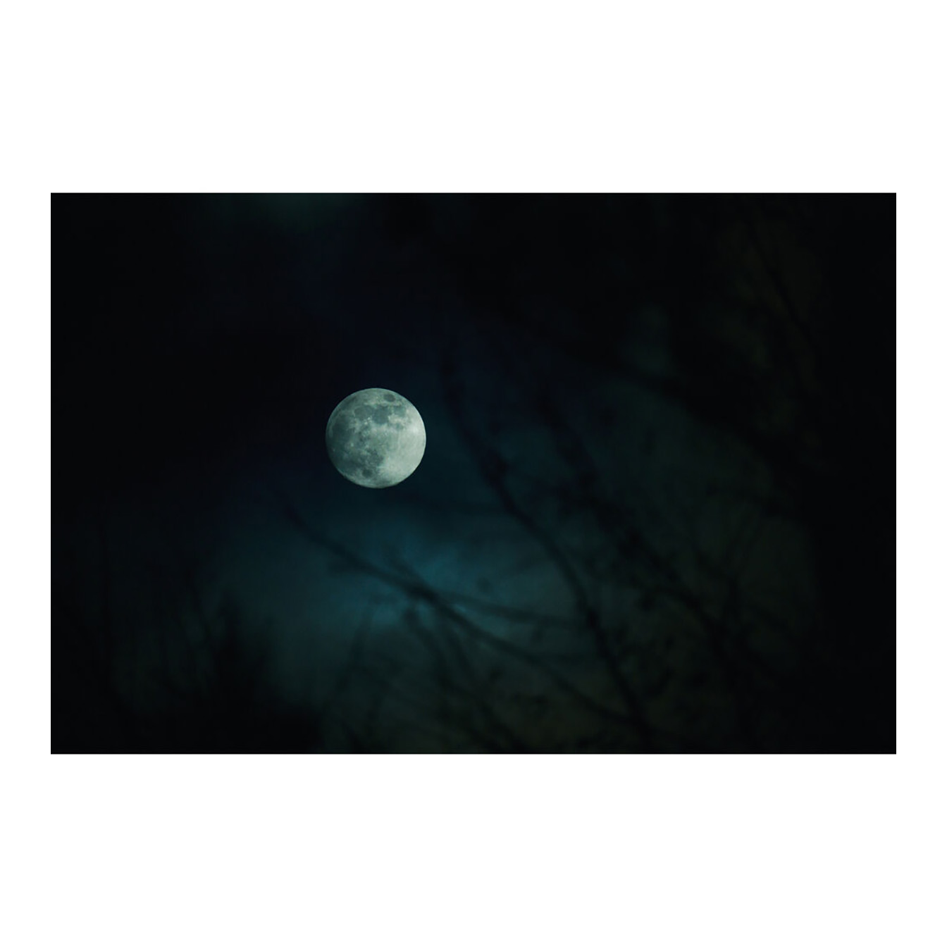 Sigma 16-300mm f/3.5-6.7 DC OS Contemporary Lens (FUJIFILM X) - Image 25