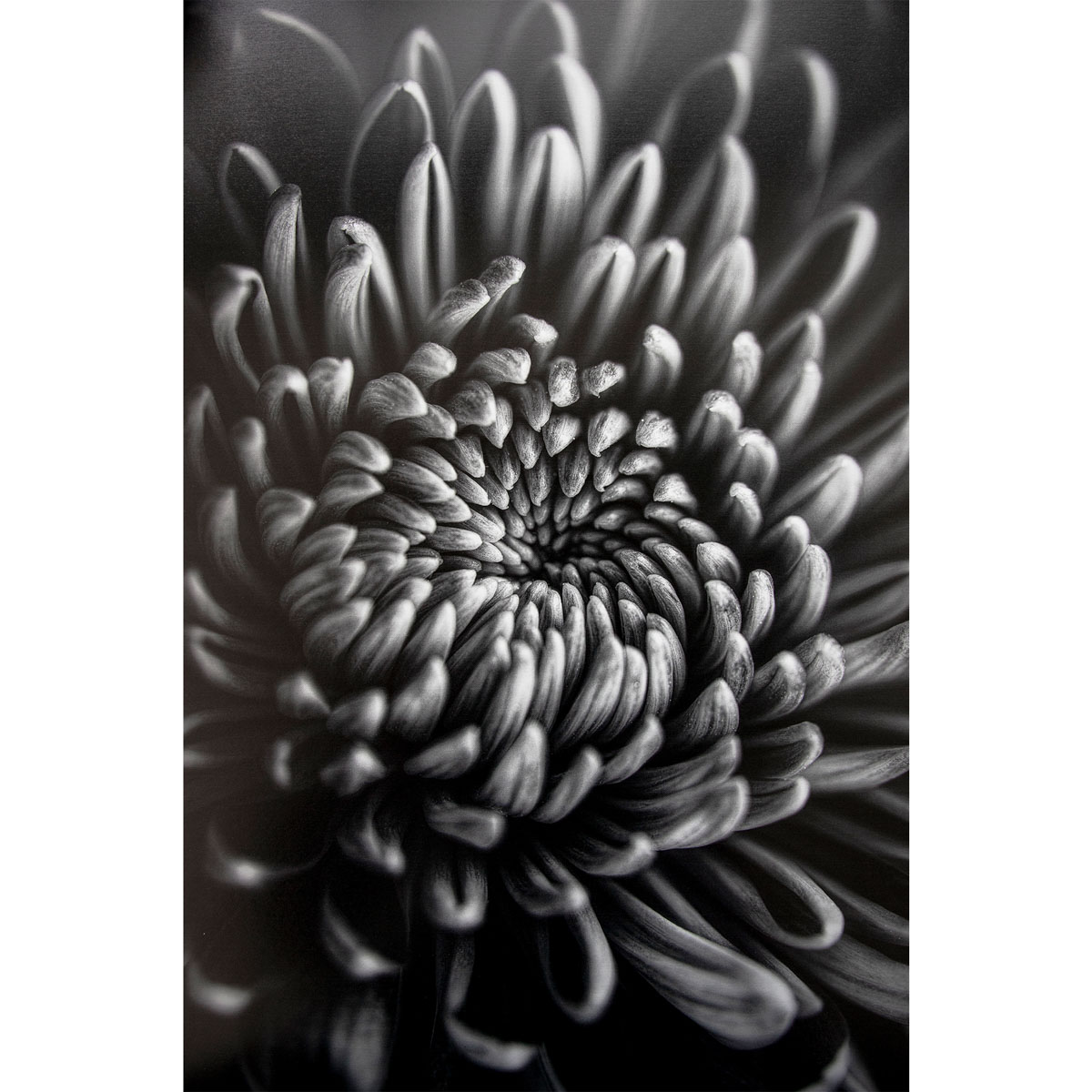 ProMaster Fine Art Baryta Natural Satin Paper 8.5"x11" - 20 Sheets - Image 4