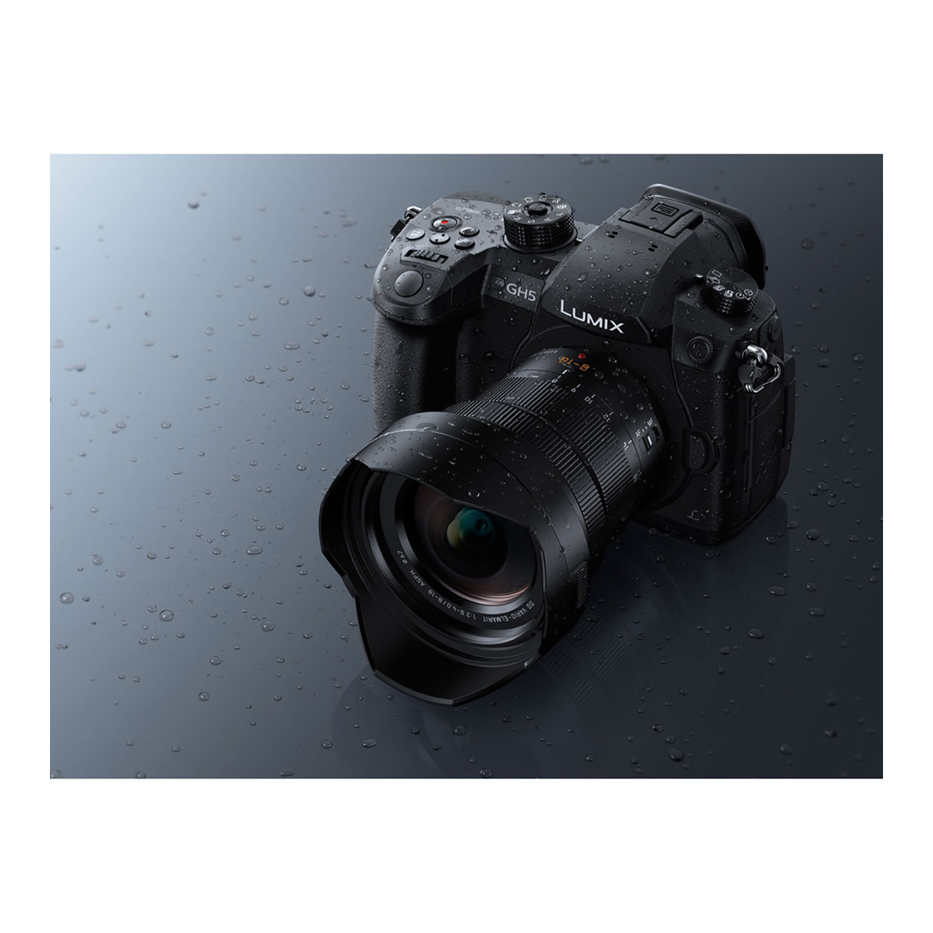 Panasonic Leica DG Vario-Elmarit 8-18mm f/2.8-4 ASPH. Lens - Image 5