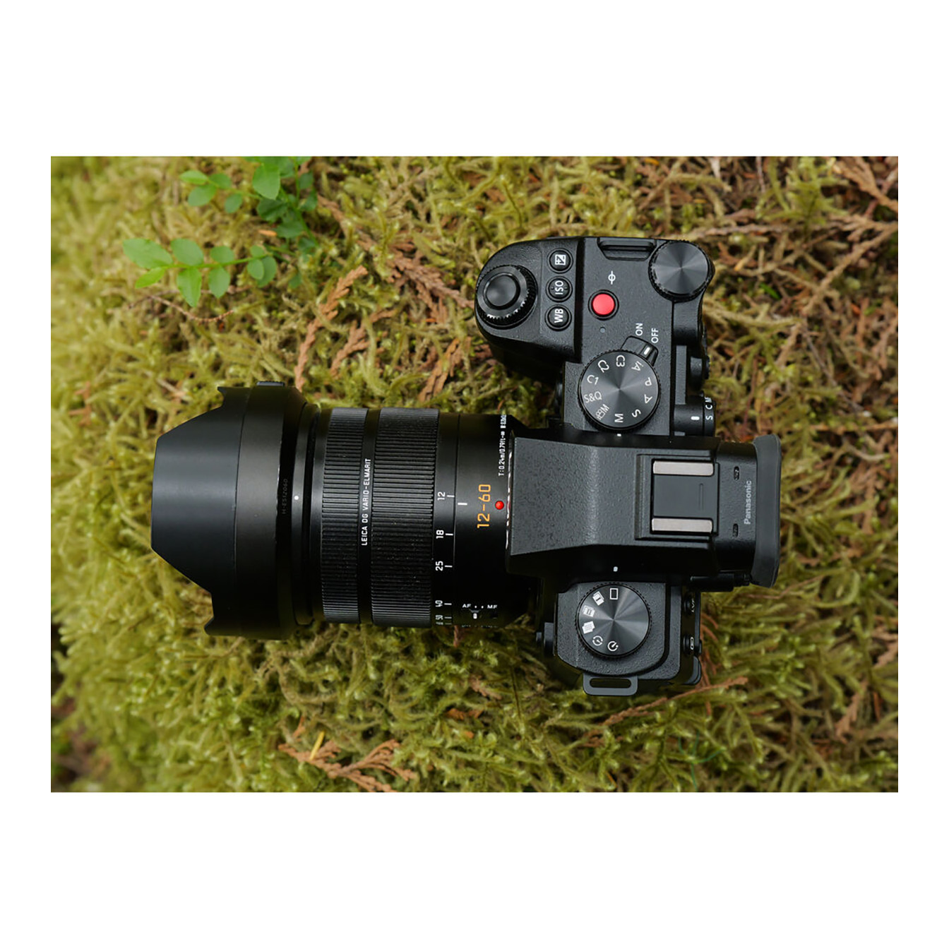 Panasonic Lumix G9 II Mirrorless Camera with 12-60mm f/2.8-4 Lens - Image 15