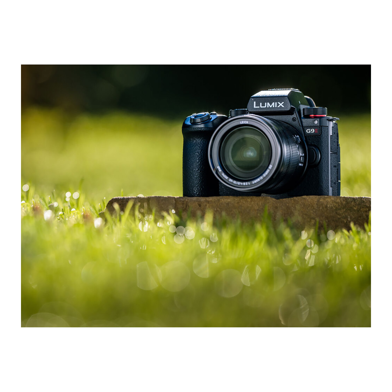 Panasonic Lumix G9 II Mirrorless Camera with 12-60mm f/2.8-4 Lens - Image 17