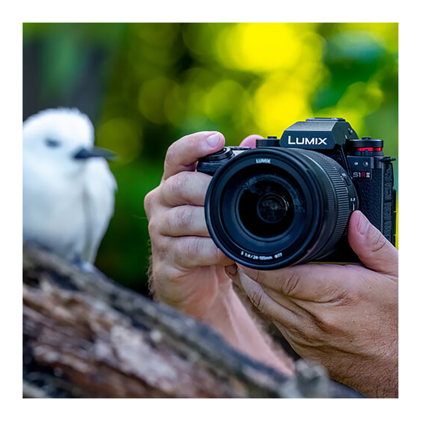 Panasonic Lumix S1R II Mirrorless Camera - Image 17