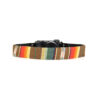 Capturing Couture 2" Camera Strap (Indian Summer)