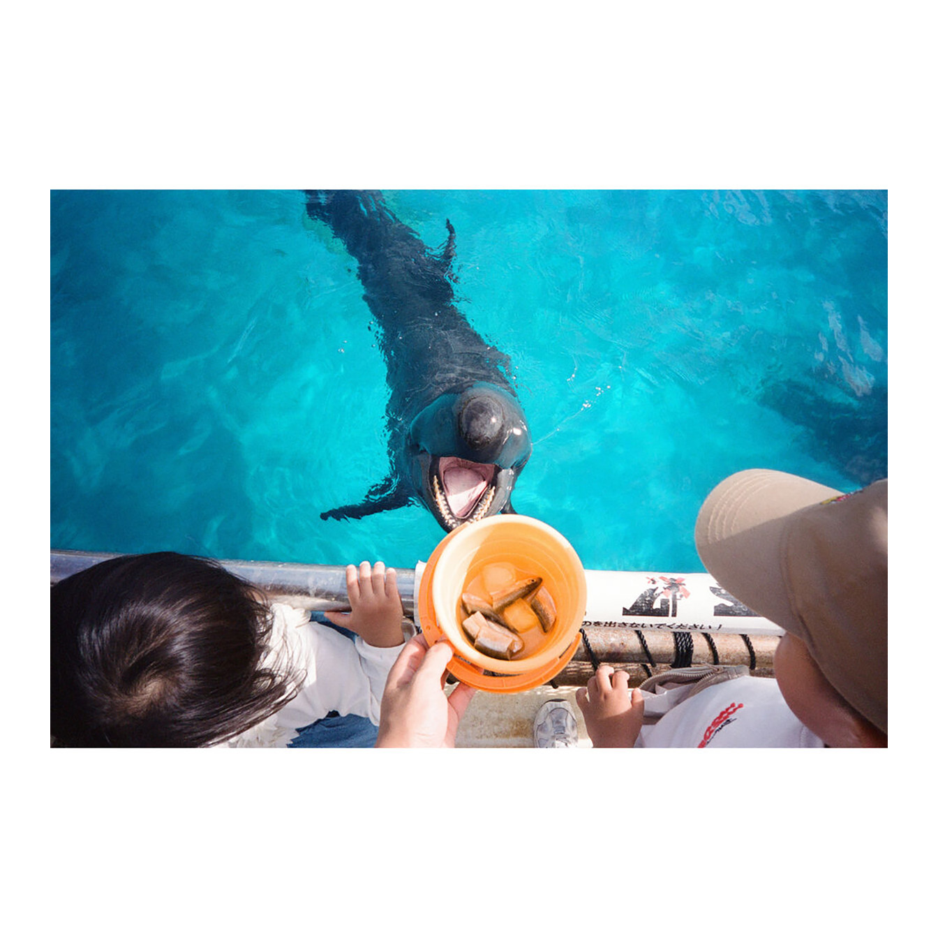 Kodak Snapic A1 35mm Film Camera (Rhino Gray) - Image 11