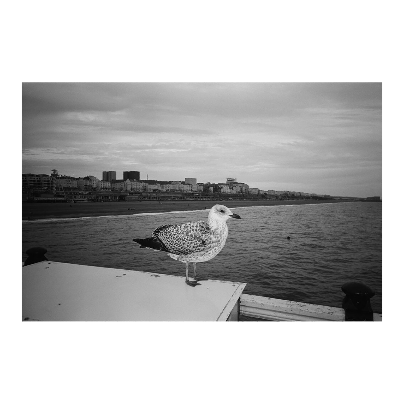 Kodak Snapic A1 35mm Film Camera (Rhino Gray) - Image 13