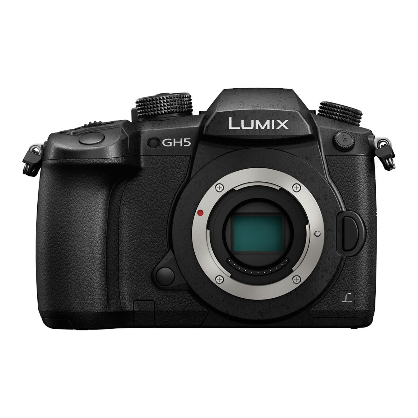 Panasonic Lumix GH5 Mirrorless Camera