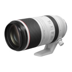 Canon RF 100-500mm f/4.5-7.1 L IS USM Lens
