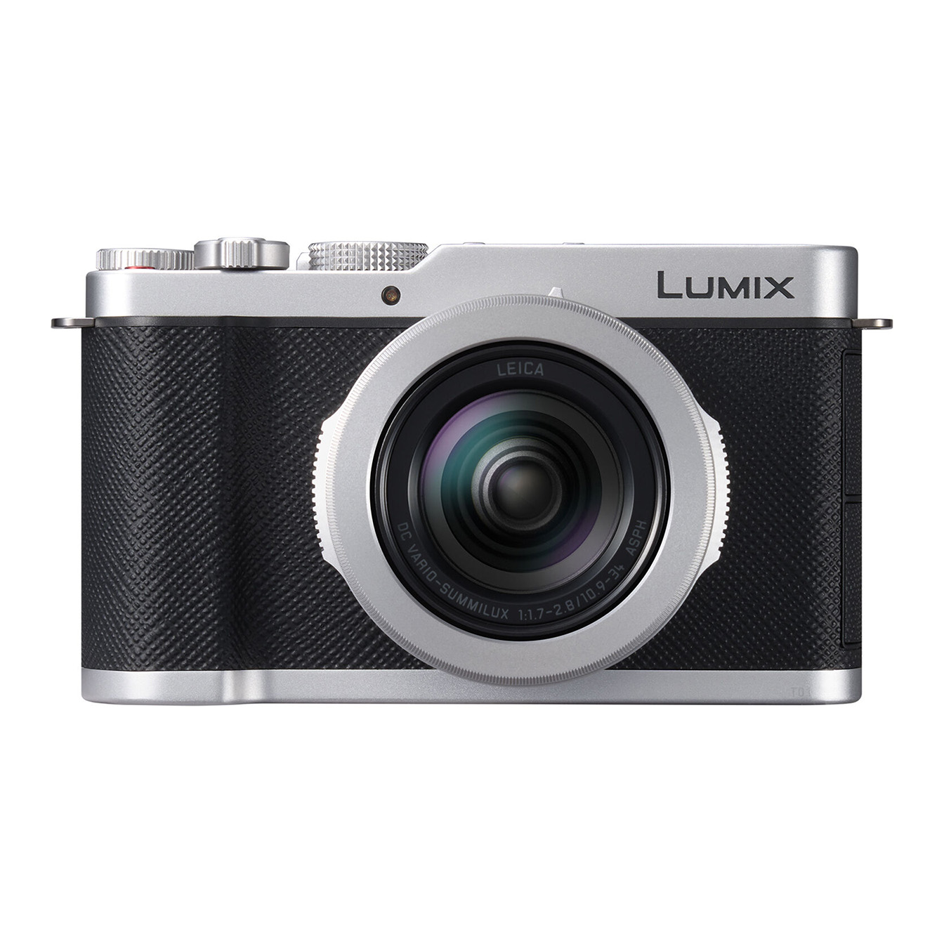 Panasonic LUMIX L10 Digital Camera (Silver)