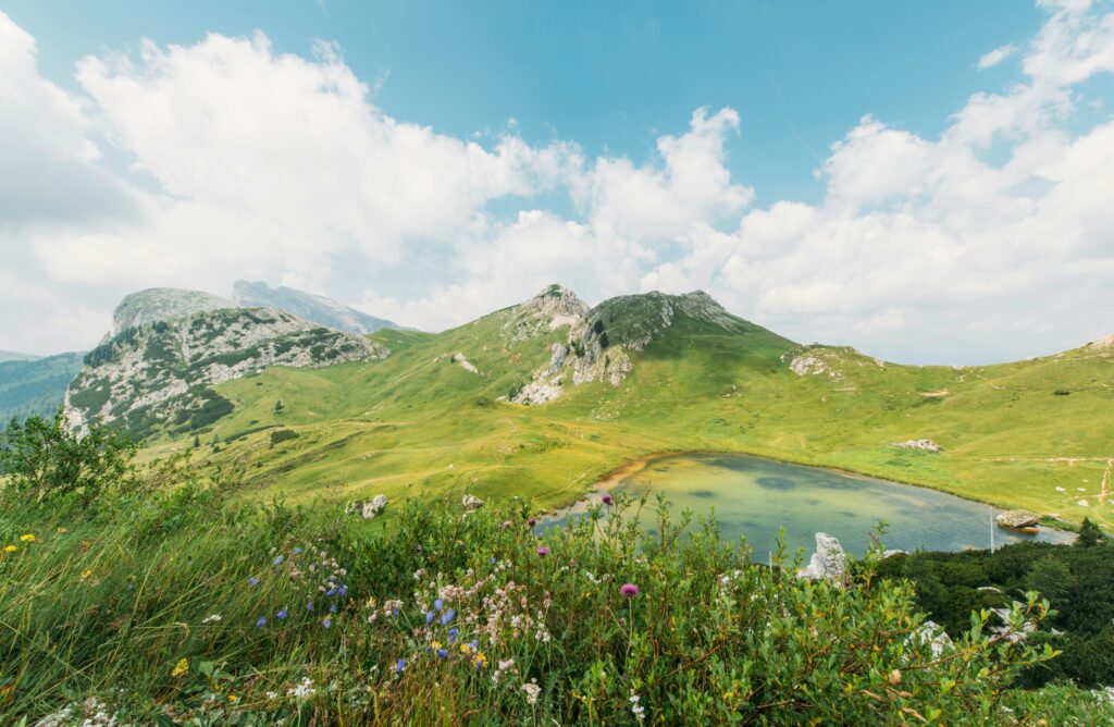 ales krivec y0i1lh T0 w unsplash
