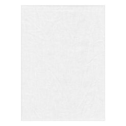 Backdrop Alley Premium Heavyweight Solid Muslin (10 x 12', White)
