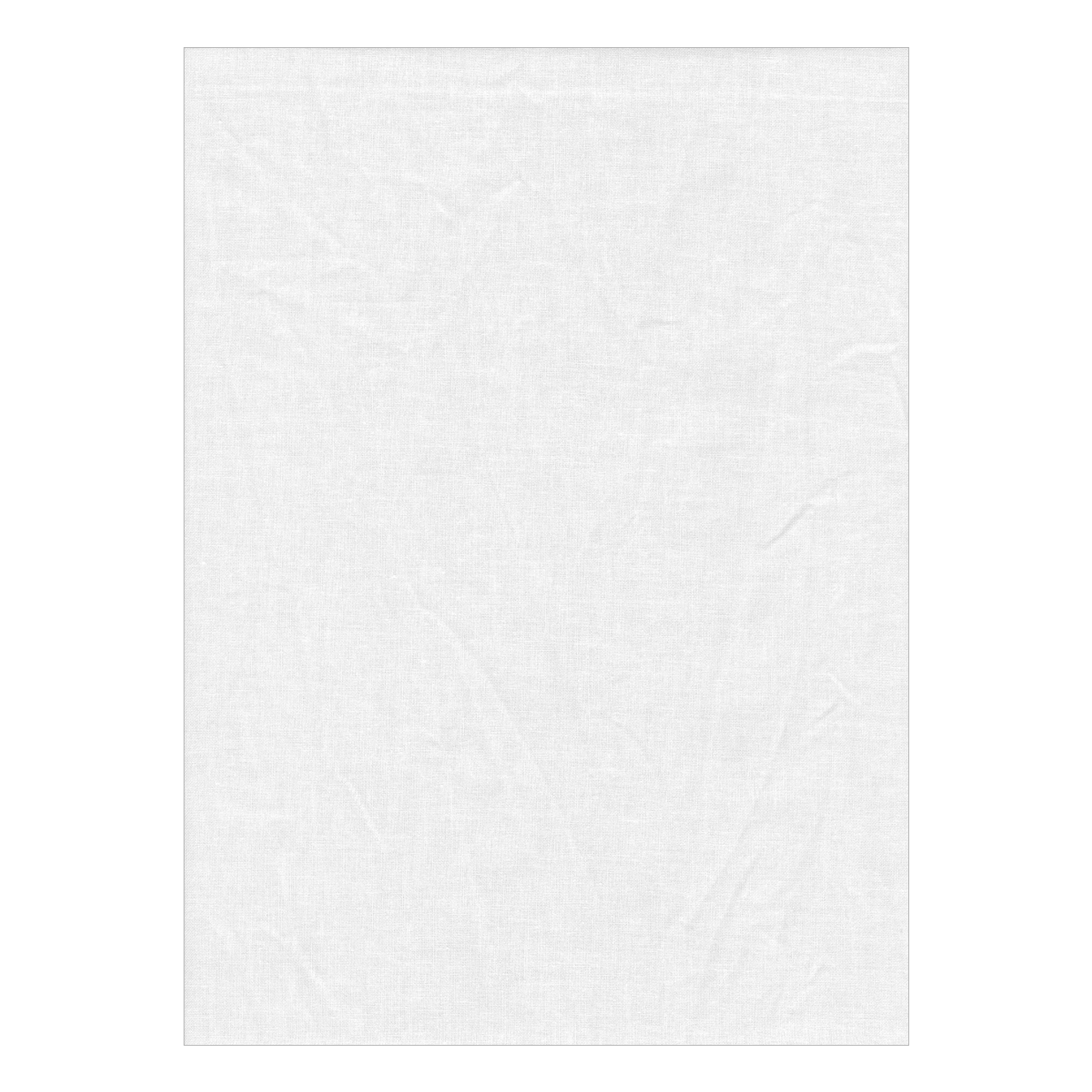 Backdrop Alley Premium Heavyweight Solid Muslin (10 x 12', White)