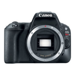 Canon EOS Rebel SL2 DSLR Camera (Black, Body Only)