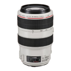 Canon EF 70-300mm f/4-5.6L IS USM Lens