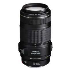 Canon EF 70-300mm f/4-5.6 IS USM Lens