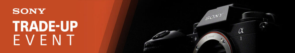 banner top