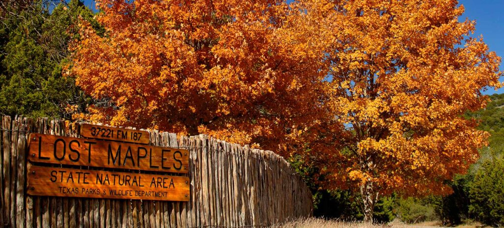 LOST MAPLES ENTRANCE