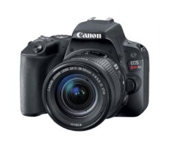 Canon EOS Rebel SL2 DSLR Camera with 18-55mm Lens
