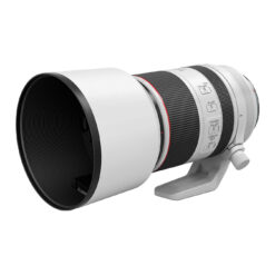 Canon RF 70-200mm f/2.8 L IS USM Lens